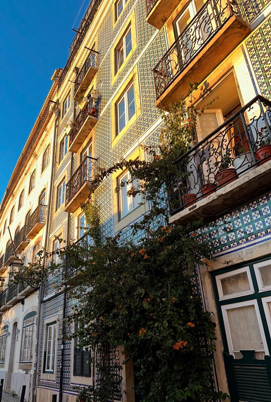Golden-hour light on old apartment facades covered in patterned ceramic tiles, with wrought-iron balconies and flowering vines